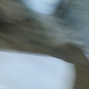 Meet your Posher, Joel